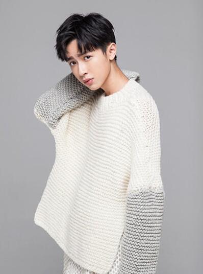 95后新晉男神大盤點(diǎn) TFBOYS劉昊然史磊榜上有名
